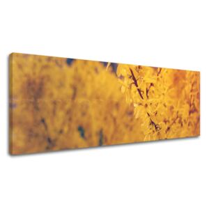 Tablouri canvas FLORI Super-Panorama KV050E14 (tablouri)