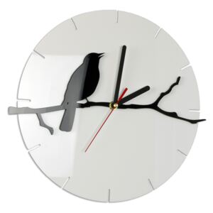 Ceas de perete modern Clock-Bird NH016 (ceas modern)