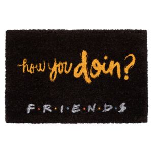 Rogojină Friends - How You Doin?