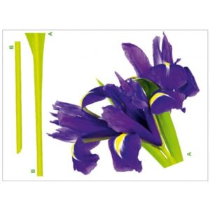 Decor perete Floare de Iris violet