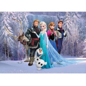 Fototapet Disney pentru camere copii - Frozen