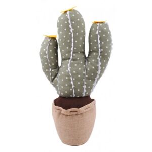 Pernuta opritor usa Cactus