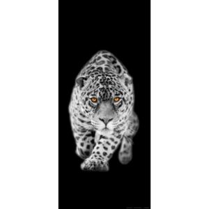Fototapet Leopard