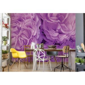 Fototapet - Soft Purple Flowers Vliesová tapeta - 208x146 cm