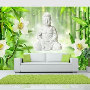 Fototapet - Buddha and nature 400x280 cm