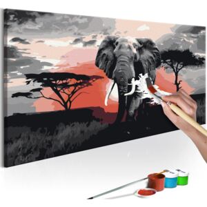 Bimago Pictura pe numere - Elephant (Africa)