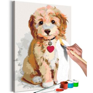 Bimago Pictura pe numere - Dog (Puppy)