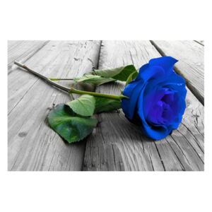 Tablou cu trandafir albastru (K012213K9060)