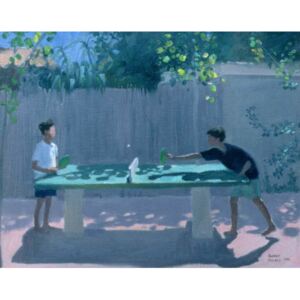 Andrew Macara - Table Tennis, France, 1996 Reproducere