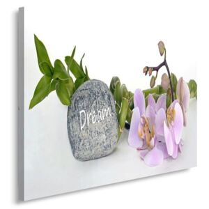 CARO Tablou pe pânză - Orchids 7 40x30 cm