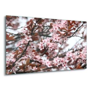 Tablou pe sticlă - Beautiful Blossoms 4 x 30x80 cm