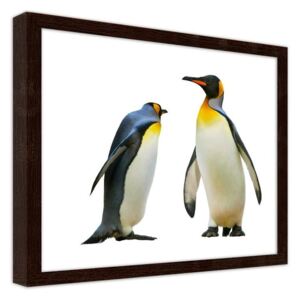 CARO Imagine în cadru - Penguins 70x50 cm Maro