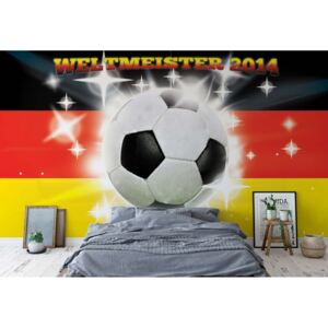 Fototapet - Football Germany Weltmeister 2014 Vliesová tapeta - 312x219 cm