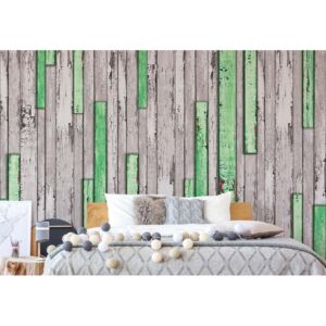 Fototapet - Wood Planks Texture Green And Grey Vliesová tapeta - 254x184 cm