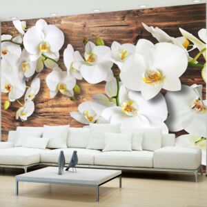 Fototapet - Forest Orchid 100x70 cm