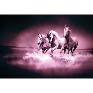 GLIX Tapet netesute pe usă - Unicorns Horses Pink