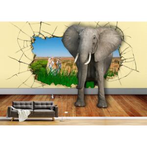 Tapet Premium Canvas - Tigrul si elefantul abstract