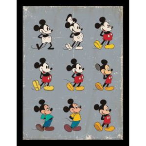 Mickey Mouse - Evolution Afiș înrămat