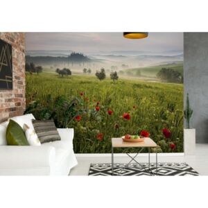 Fototapet - Tuscan Spring Vliesová tapeta - 254x184 cm