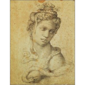 Michelangelo - Testa Di Cleopatra Reproducere, (35 x 50 cm)