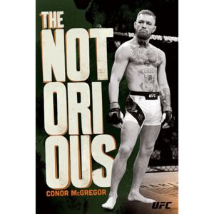 UFC: Conor McGregor - Stance Poster, (61 x 91,5 cm)