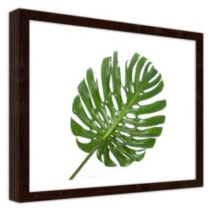 CARO Imagine în cadru - Big Leaf 40x30 cm Maro