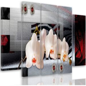 CARO Tablou pe pânză - White Orchid 100x70 cm