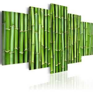 Bimago Tablou - Green Bamboo 100x50 cm