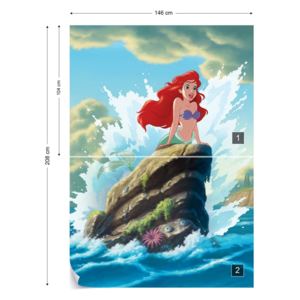 Fototapet - Disney Little Mermaid Vliesová tapeta - 208x146 cm