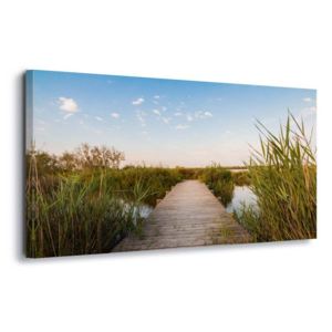 Tablou - Path Through The Reeds 60x40 cm