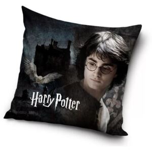 Husă de pernă decorativă Harry Potter (Harry)