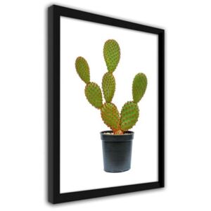 CARO Imagine în cadru - Cactus In A Pot 30x40 cm Negru