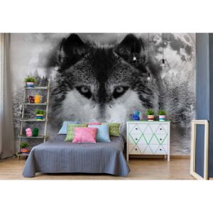 Fototapet - Forest Wolf In The Mist Papírová tapeta - 368x280 cm