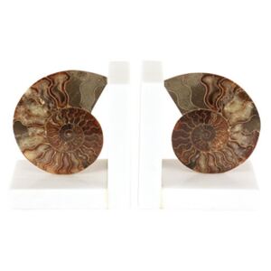 Set de 2 opritoare de carti Ammonite