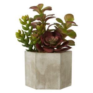 Plantă suculentă artificială în ghiveci gri de ceramică Premier Housewares Fiori