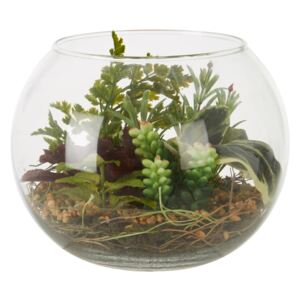 Plantă suculentă artificială în ghiveci din sticlă Premier Housewares Fiori Sucu