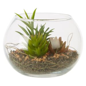Plantă suculentă artificială în ghiveci din sticlă Premier Housewares Fiori