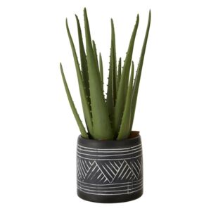 Aloe vera artificială în ghiveci din ceramică negru - alb Premier Housewares Fiori