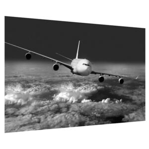 Tablou alb negru cu avion în nori (K012205K9060)