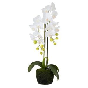 Orhidee Floare artificiala ghiveci, Plastic, Alb