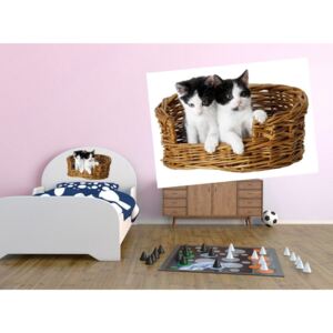 Autocolante decorative pe perete pisicuțe în coș