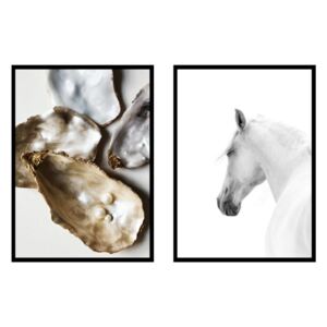 Set 2 tablouri white horse