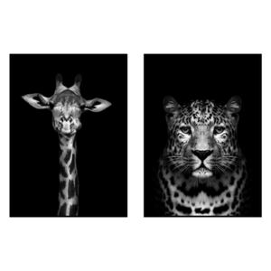 Set 2 tablouri giraffe and leopard portrait