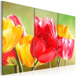 Tablou - Tulips bloom again... 120x80