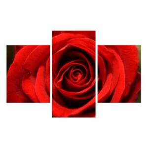 Tablou detailat cu trandafir (K010280K90603PCS)
