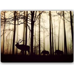 CARO Tablou metalic - Animals In The Forest 40x30 cm