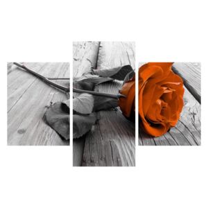 Tablou cu trandafirul portocaliu (K011139K90603PCS)
