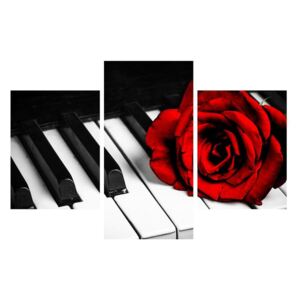 Tablou trandafirul și pian (K011229K90603PCS)