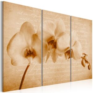 Tablou Bimago - orchidea (vintage) 60x40 cm