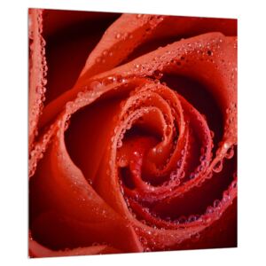 Tablou cu trandafirul roșu (Modern tablou, K011747K3030)